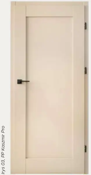 Drzwi Irys 03